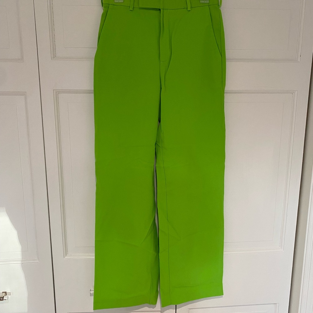 Aritzia Green Wide-Leg Trousers - Picture 1 of 6